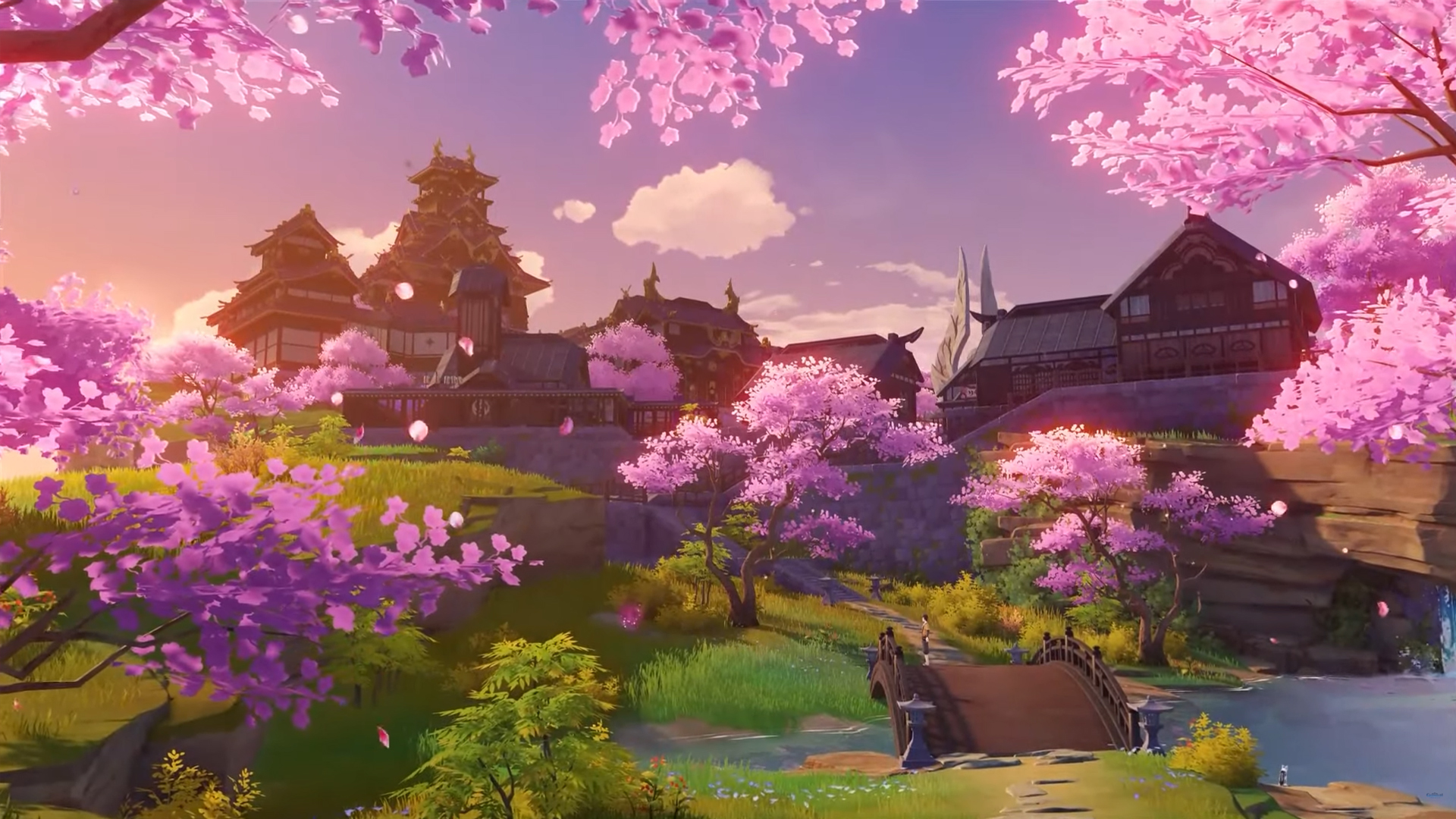 Scenery